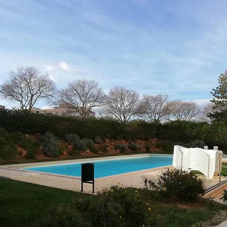 Flamingo Портиман